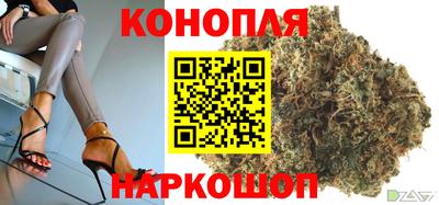 дмт Кингисепп