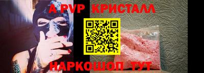 дмт Кингисепп