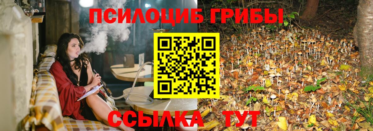 Азов  Галлюциногенные грибы GOLDEN TEACHER  Псилоцибиновые грибы ЛСД  Вход с VPN 